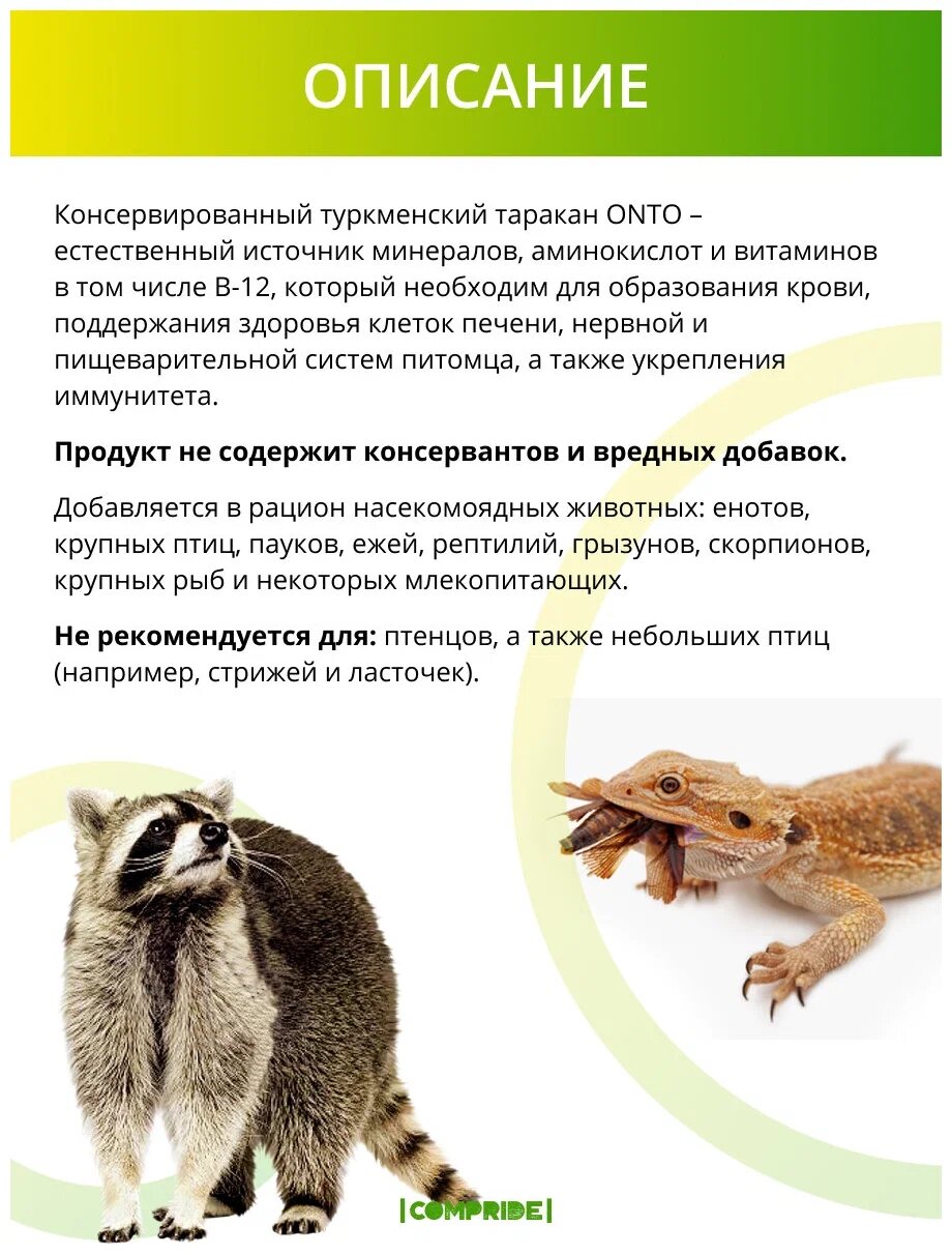 Консервированный корм ONTO для животных, туркменский таракан, 40 г - фотография № 5