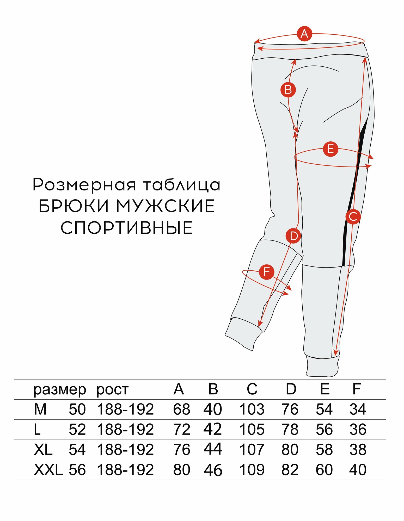 Брюки спортивные DONTERRA