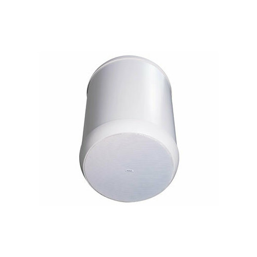 Tannoy OCV 6 белый подвесной коаксиальный громкоговоритель цилиндрической формы Закрытый корпус Номинальнаяпрограммнаяпиковая мощн 60 120 120 В 3914700₽