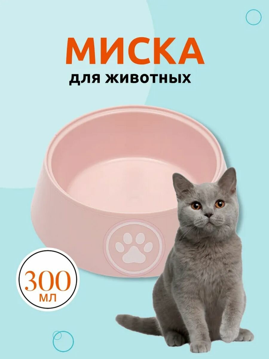 Миска для кошек Лекси 0.3 л, розовый