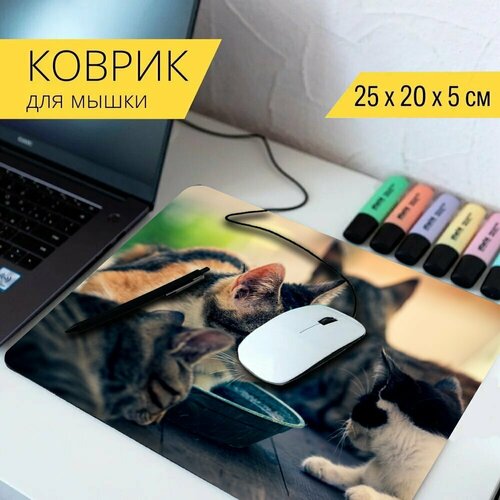 Коврик для мыши с принтом Кошка, кошачий, тигр 25x20см. коврик для мыши с принтом тигр белый тигр кошка 25x20см