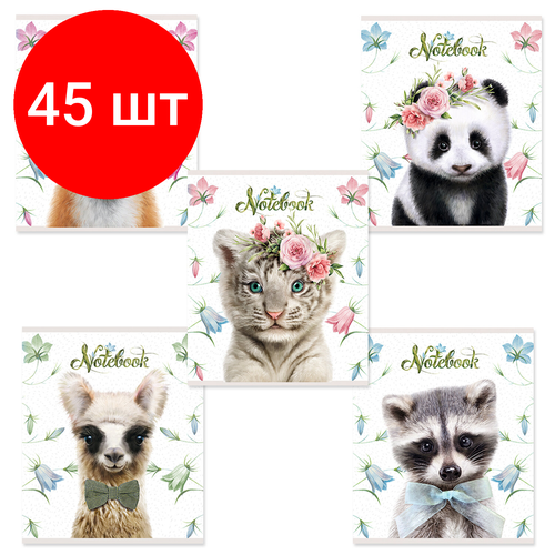 Комплект 45 шт, Тетрадь А5, 48 л, пзбм, скоба, клетка, конгрев, выборочный TWIN лак, 