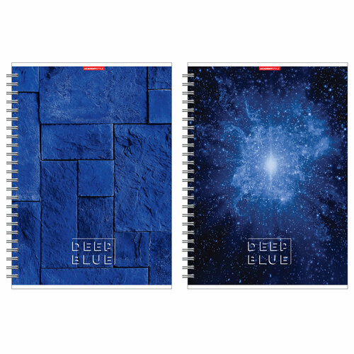 Тетрадь 96л, А4, в клетку, евроспираль, обложка картон, Глубокий синий,13604/2, Academy Style,2 шт