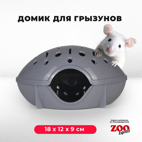 домик переноска zooexpress для грызунов хомяков крыс и мышей 18х12х9 см с дверцей голубой Домик ZOOexpress для грызунов, хомяков, крыс и мышей, 18х12х9 см, без дверцы, серый