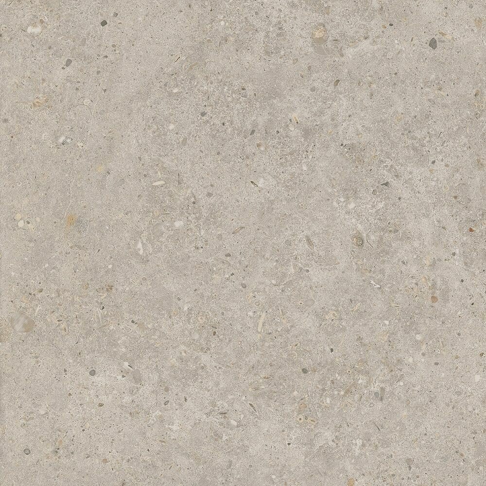 фото SG653820R Риккарди бежевый матовый обрезной 60x60x0,9 керам. гранит