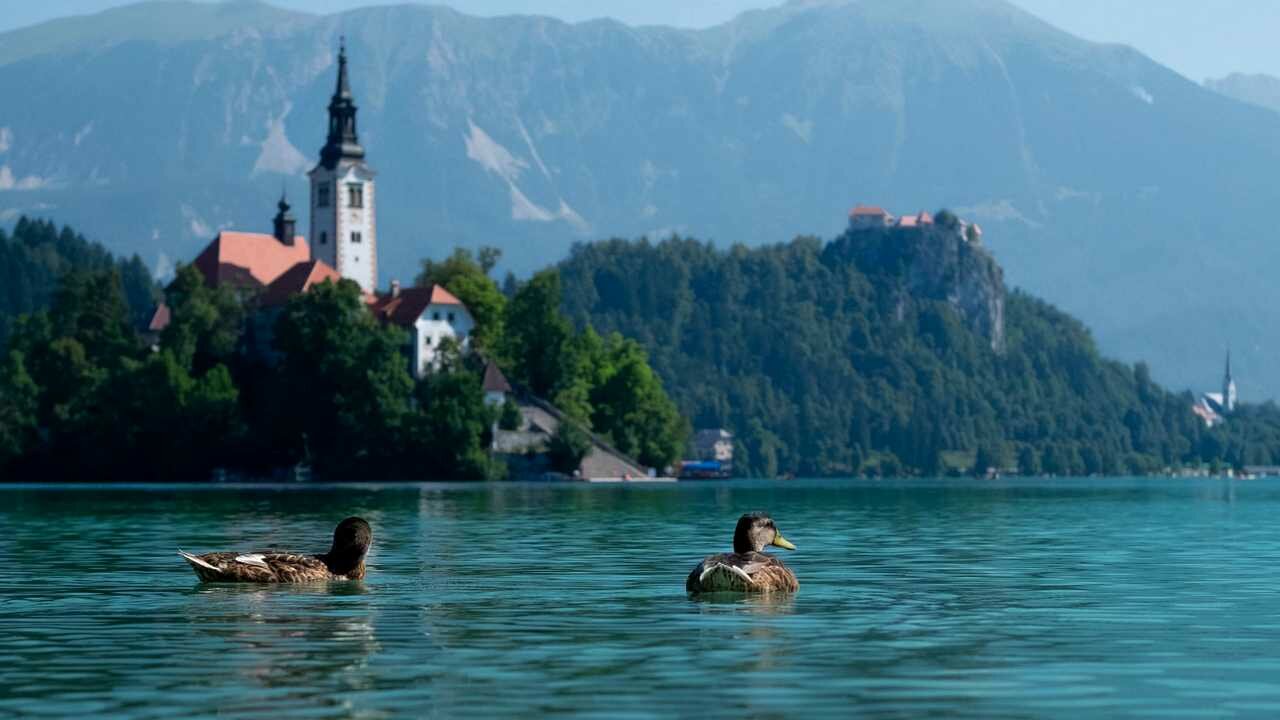 Озеро блед фото