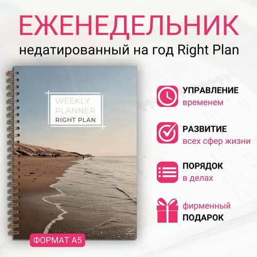 Ежедневник недатированный Right Plan 