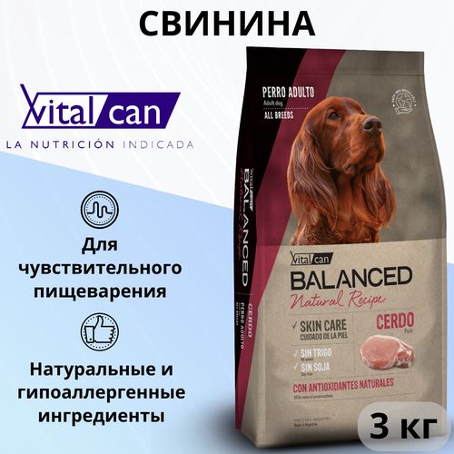 Сухой корм для взрослых собак всех пород Vitalcan Balanced Natural Recipe, со свининой, суперпремиум, при аллергии, 3 кг