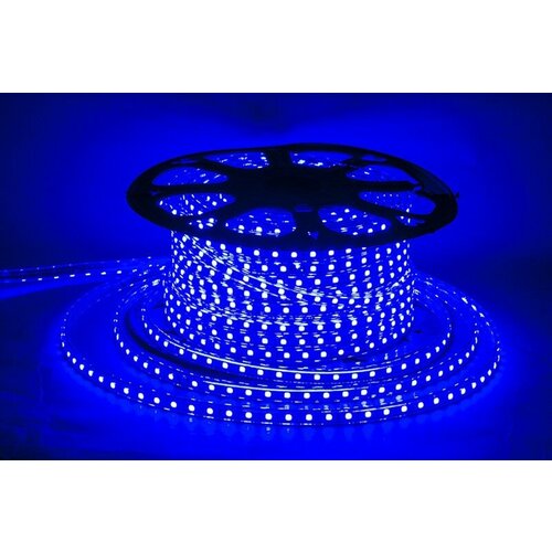 50м Комплект светодиодной ленты синего цвета 5050 144W 220V 60LEDm Sneha 5050-60-220V BL 1397815 17400₽