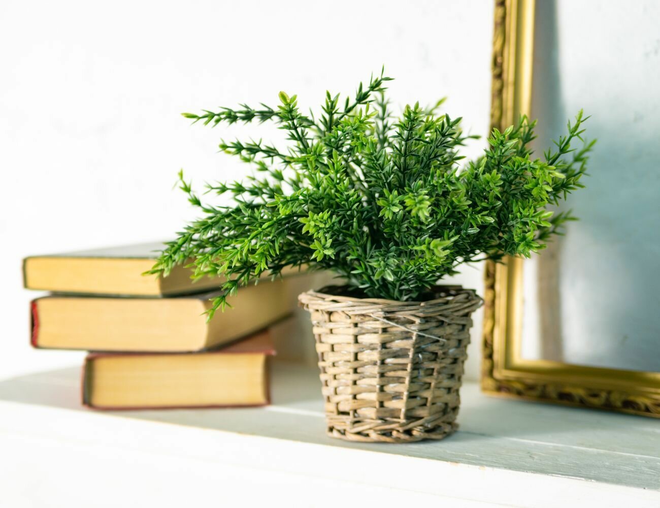 фото Искусственное растение в горшке эвкалиптовая коллекция - верес, 26 см, Koopman International 317002290-5