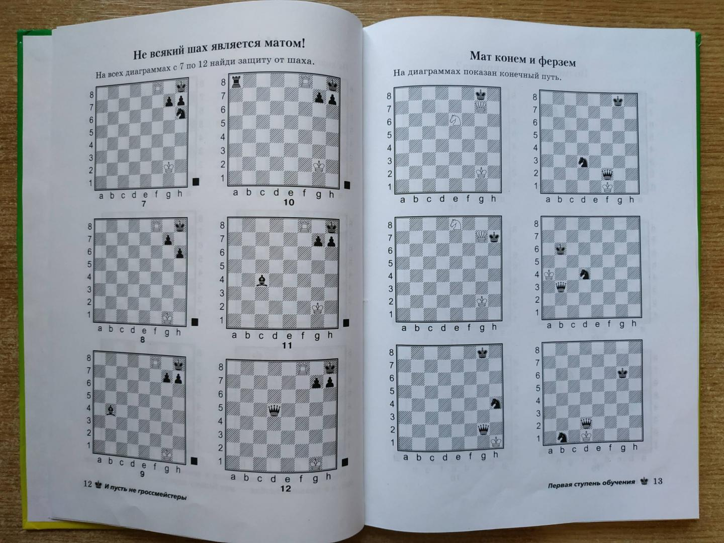И пусть не гроссмейстеры. Шахматный практикум для начинающих шахматистов - фото №7