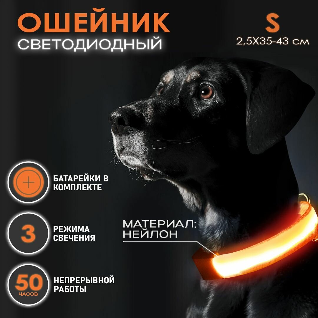 Ошейник светящийся для собак и кошек светодиодный нейлоновый оранжевого цвета, размер S - 2,5х35-43 см