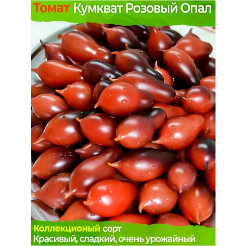 Томат Кумкват Розовый Опал - коллекционный сорт