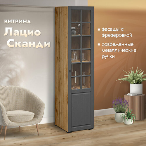 Шкаф-витрина Лацио, однодверный с полками, 48х53х204, ПР Сканди (темно-серый/графит, коричневый) коричневый, серый