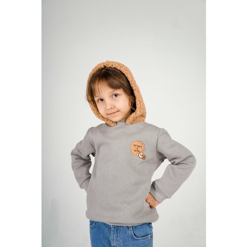 фото Толстовка , размер 4, серый, мультиколор нет