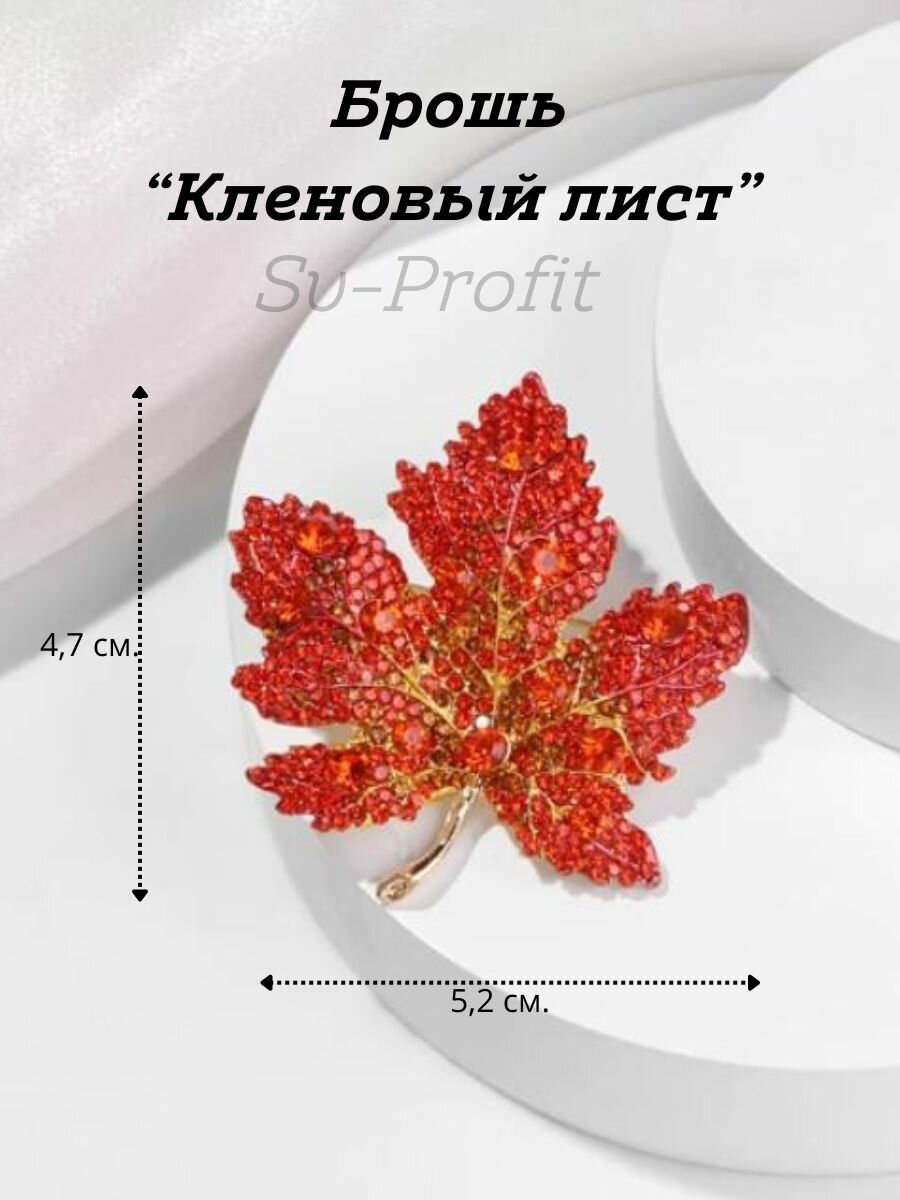 Брошь Брошь 
