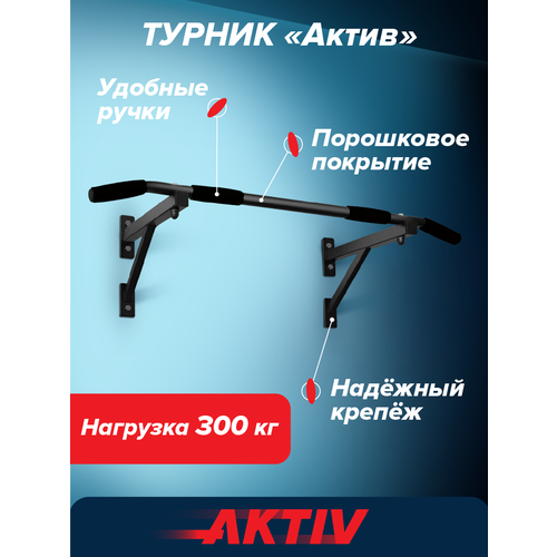 Турник настенный Aktiv черный разборный Aktiv/Absolute Champion