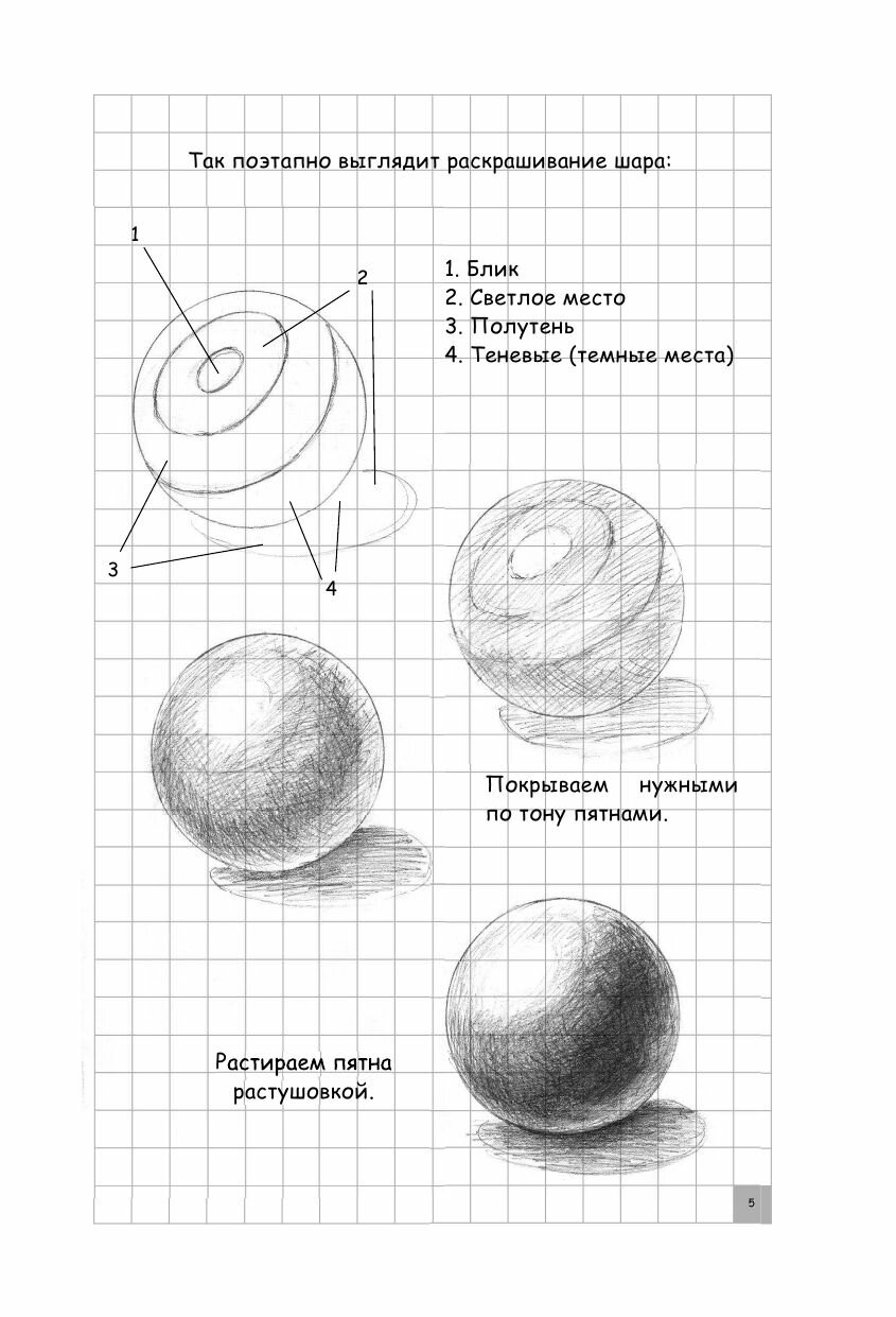 Творческий курс по рисованию. Рисуем животных! - фото №17