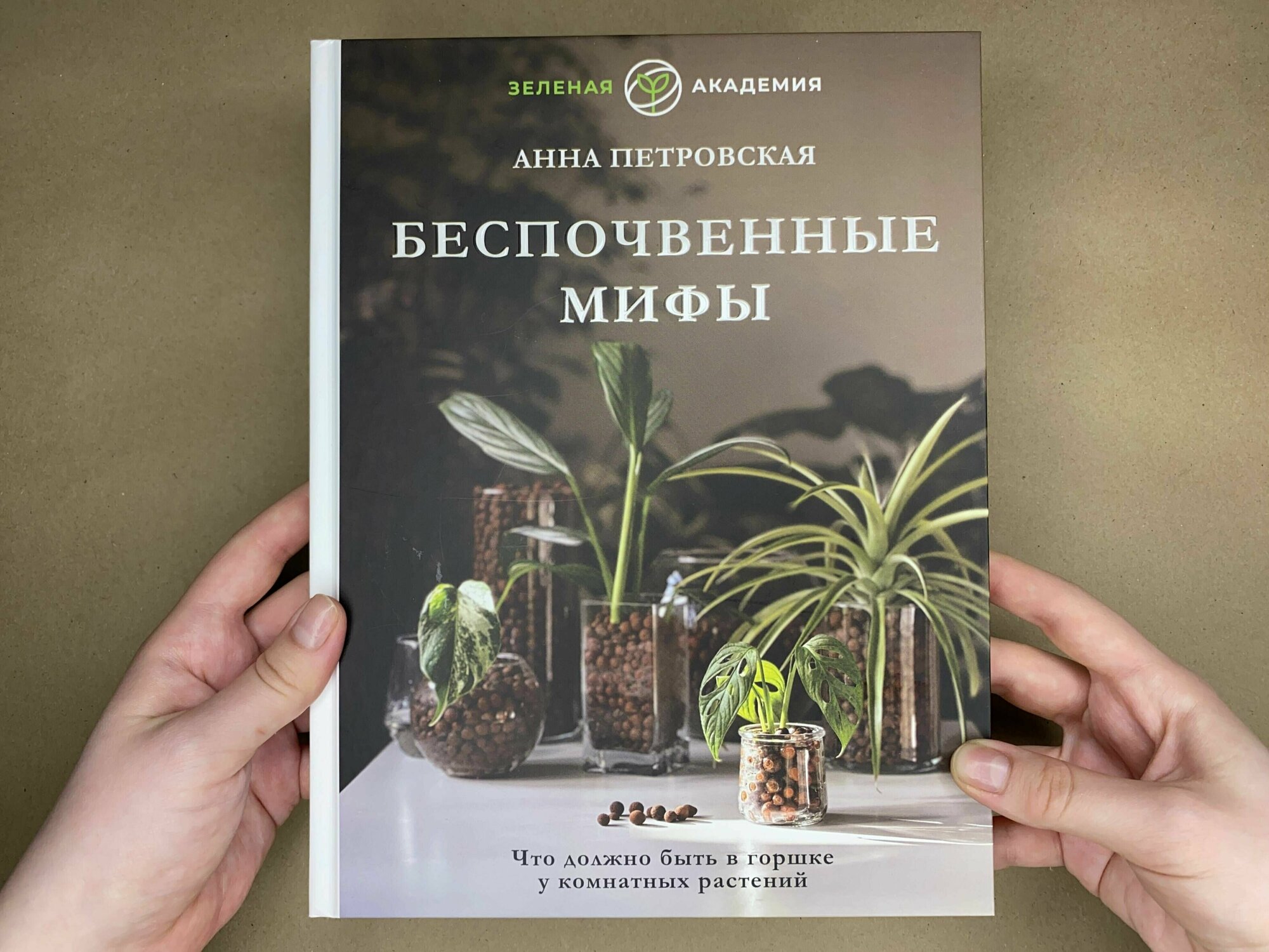 Что должно быть в горшке у комнатных растений. Беспочвенные мифы - фото №6