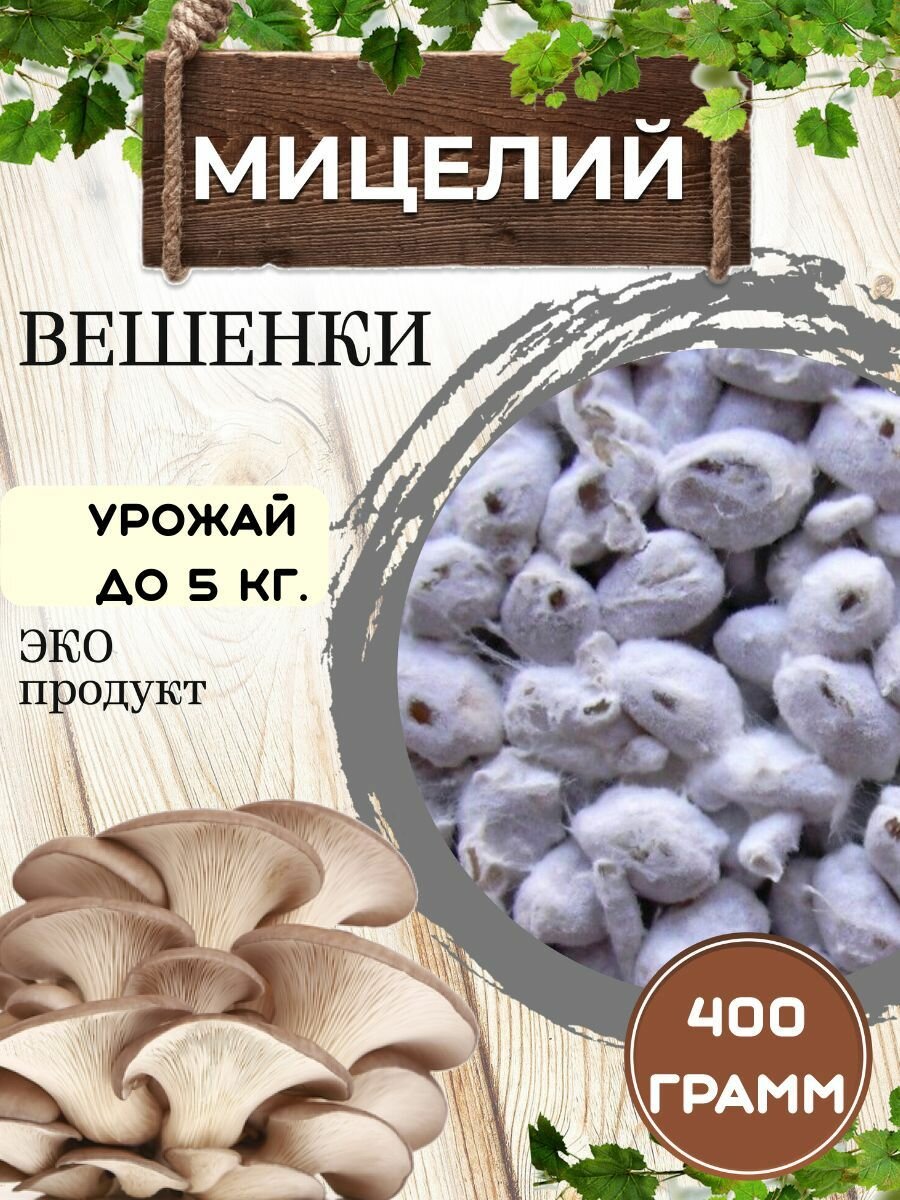 Мицелий вешенки высокоурожайный штамм К17