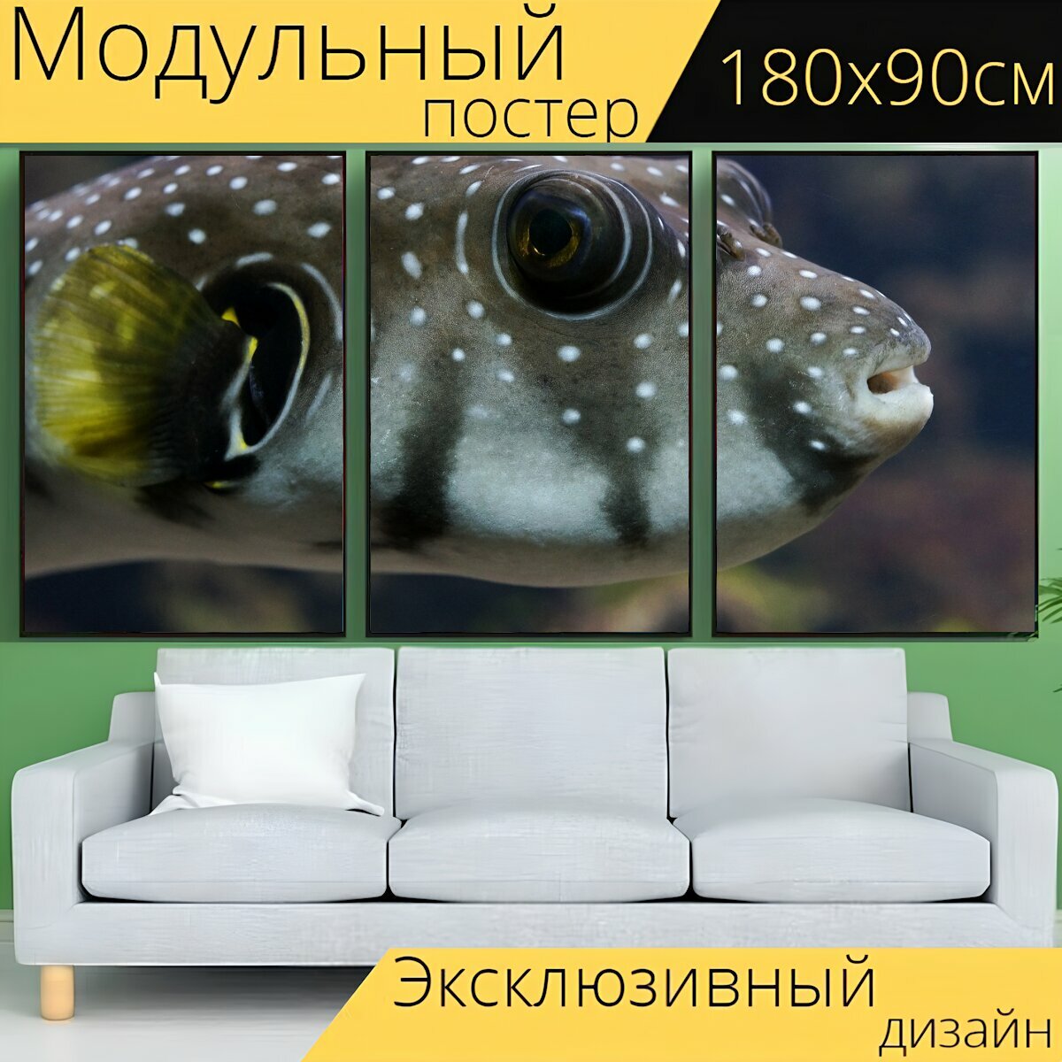 Модульный постер "Рыба фугу, море, подводный мир" 180 x 90 см. для интерьера