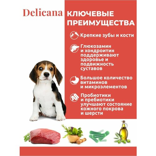 Delicana сухой для щенков средних пород говядина 16 кг