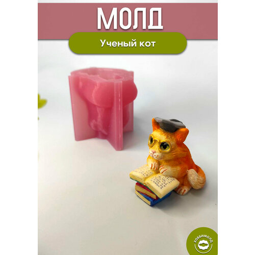 Силиконовый молд Ученый кот Арт. 590