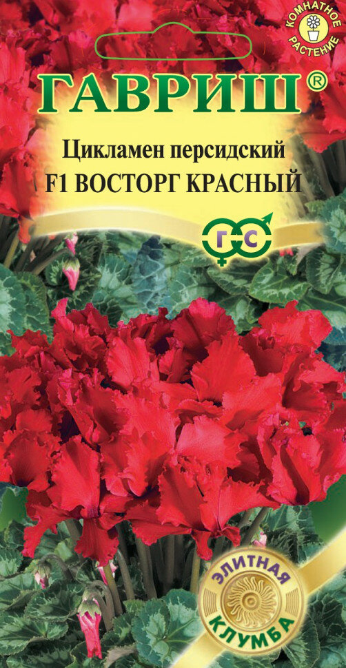 Семена Цикламен персидский Восторг красный F1, 3шт, Гавриш. Элитная клумба