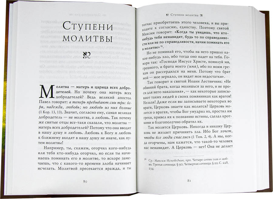 Ценность души (Архимандрит Клеопа (Илие)) - фото №5