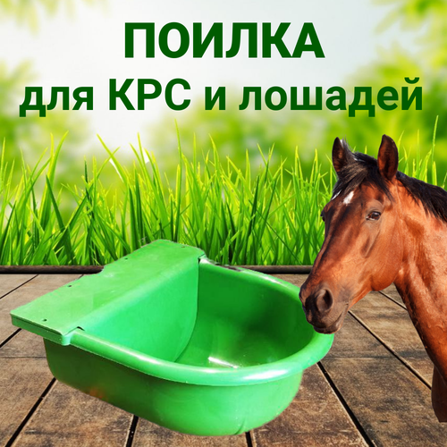 Поилка для лошадей 3л чашечная с боковым подводом 1/2