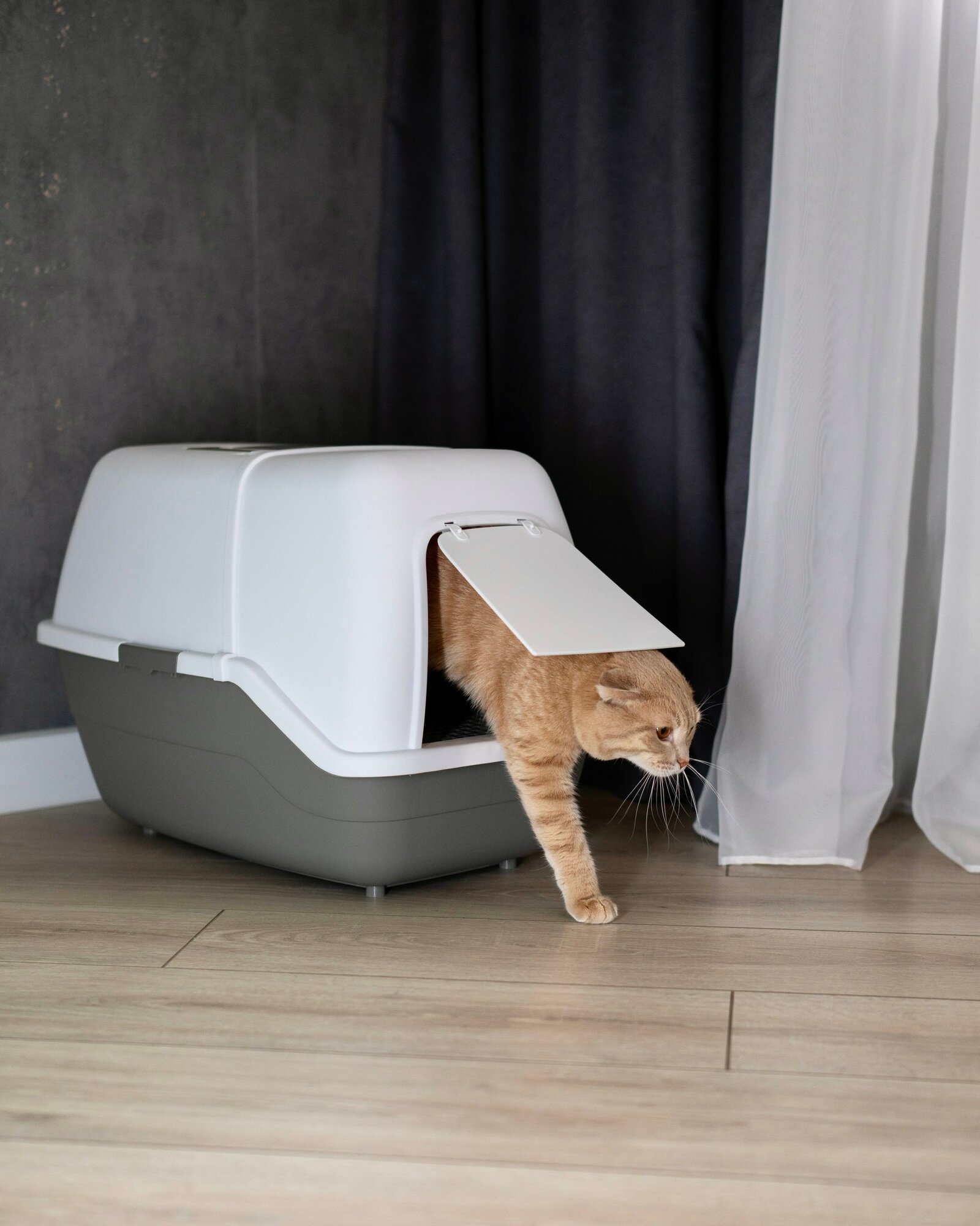 Туалет-домик для кошек с откидной крышкой STEFAN, большой (XL), 58х42х42, BP1011, серый - фотография № 10