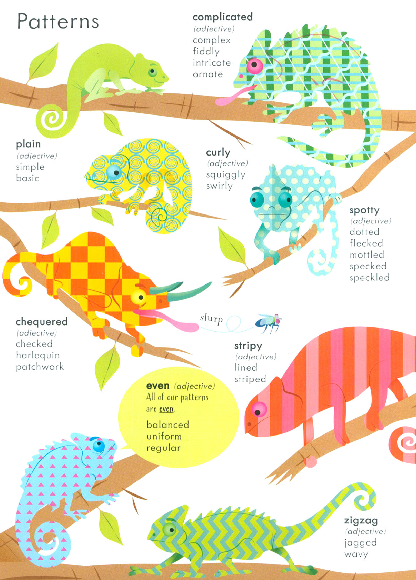 Junior Illustrated Thesaurus (Maclaine James) - фото №3