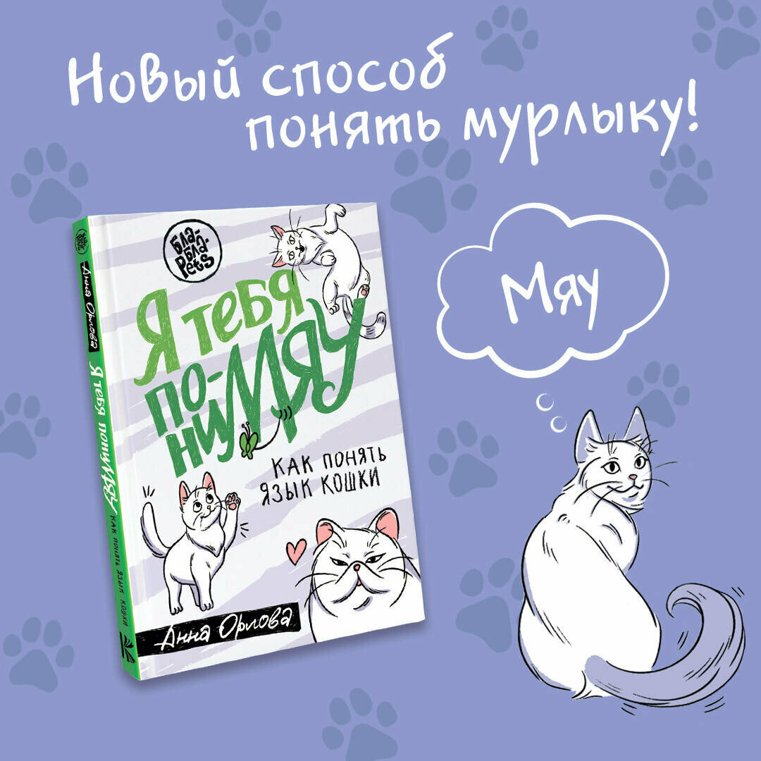 Я тебя понимяу. Как понять язык кошки - фото №3