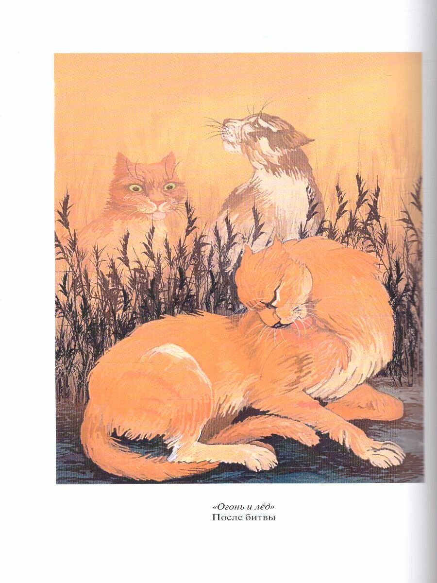 Книга Коты-воители. Стань диким! Огонь и лед - фото №14