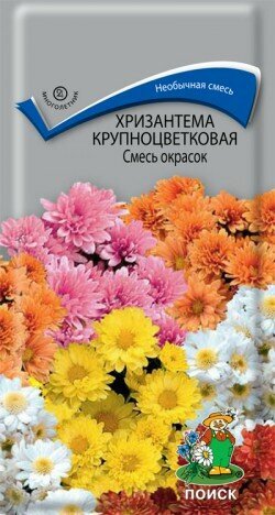 Хризантема крупноцв. Смесь окрасок многол. 0,05гр. (Поиск)