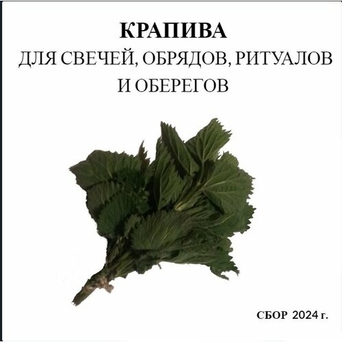 Крапива (сушенная) - для свечей, обрядов и ритуалов сыр для запекания сулугуни предгорье кавказа 45% 200 г