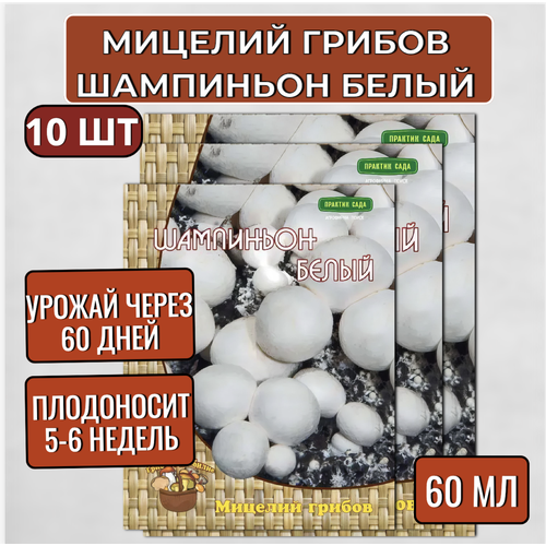 Агрохолдинг Поиск Мицелий грибов Шампиньон белый на субстрате 60 мл, набор 10шт