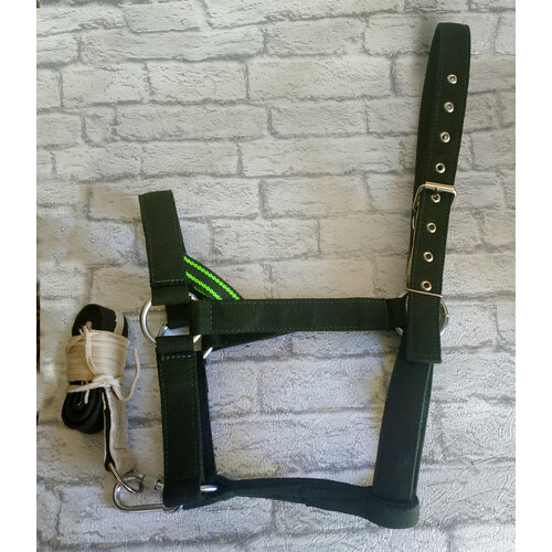 Недоуздок для лошади из брезента с карабином и поводом 1384₽