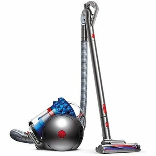 Аллергия на большой мяч Dyson