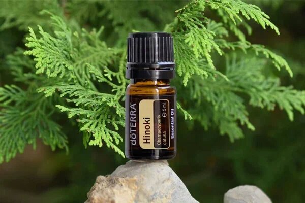 DoTERRA Северное сияние — фото 1