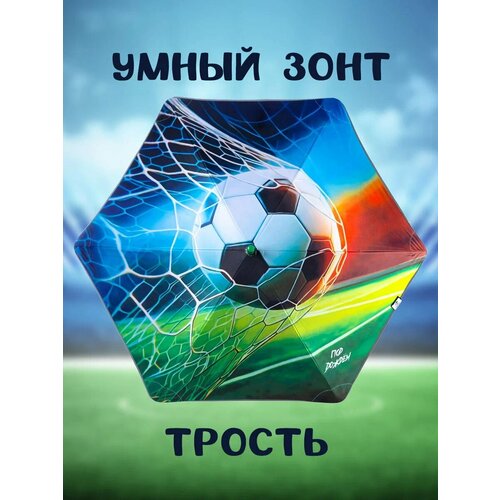фото Зонт-трость под дождем, оранжевый, зеленый, коричневый, белый, голубой