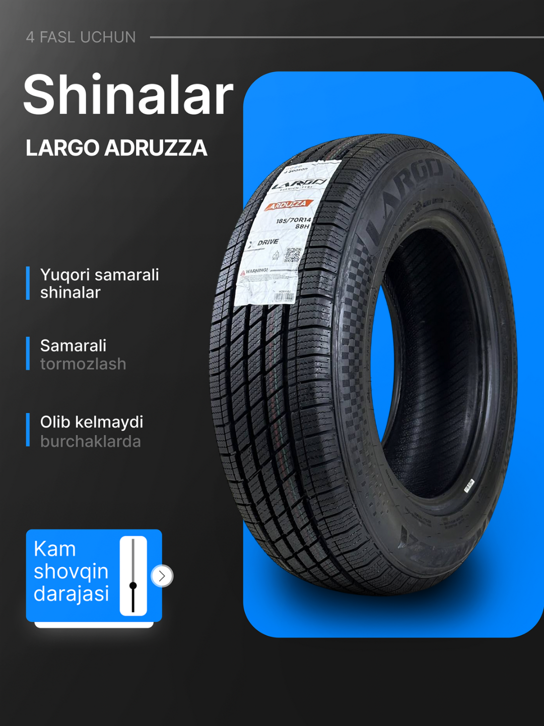 Largo Arduzza 165/70R13 Всесезонная шина китайского производства