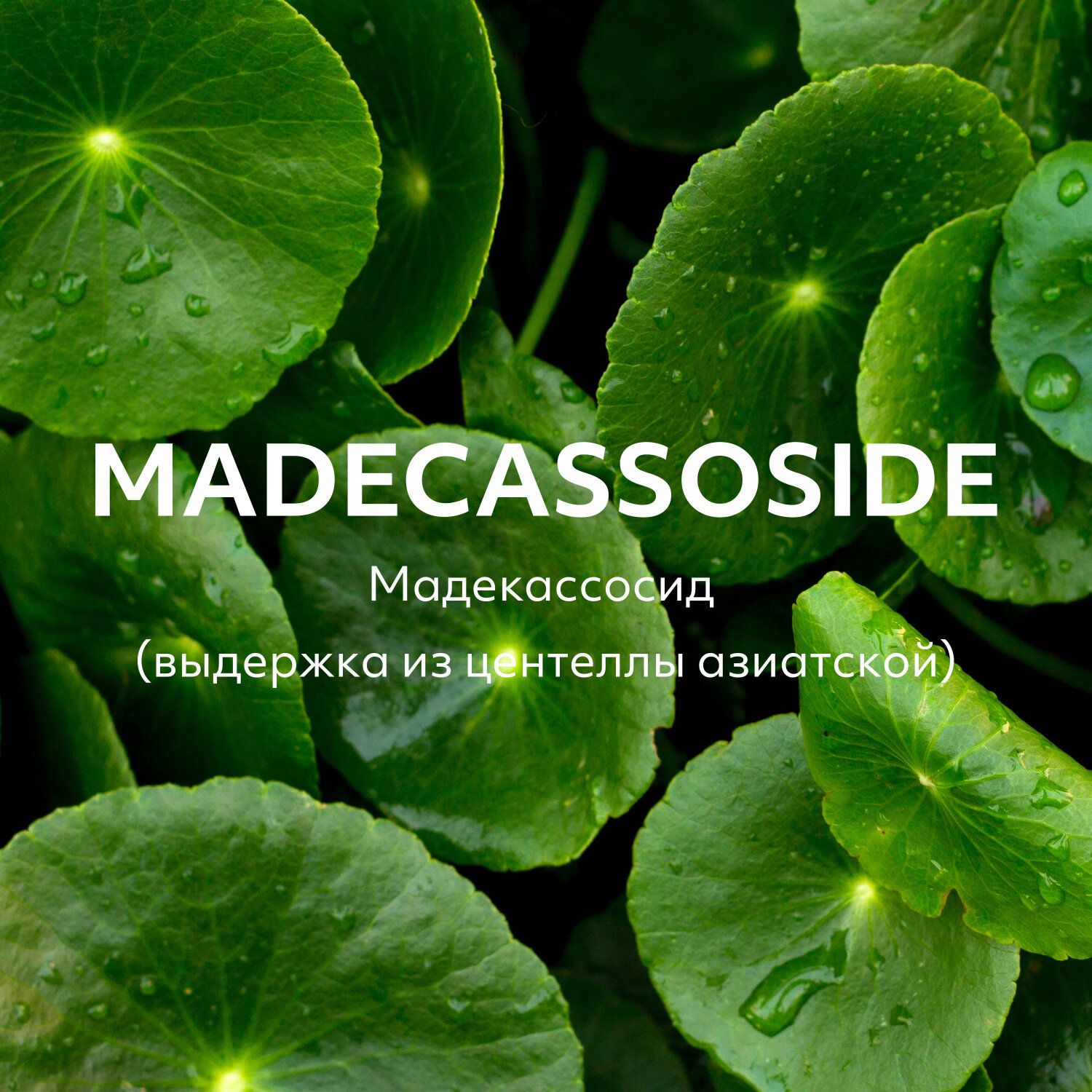 Missha Тканевая маска для лица Madecassoside, 27 г (Missha, ) - фото №6