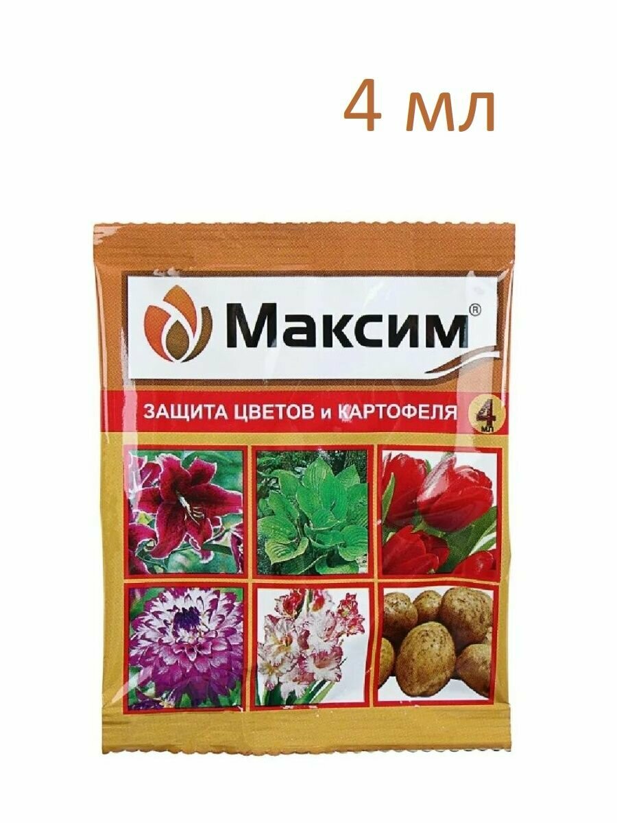 фото Средство защиты растений от болезней Максим, ампула 4 мл