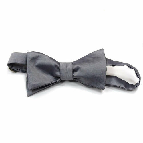 Бабочка , серый