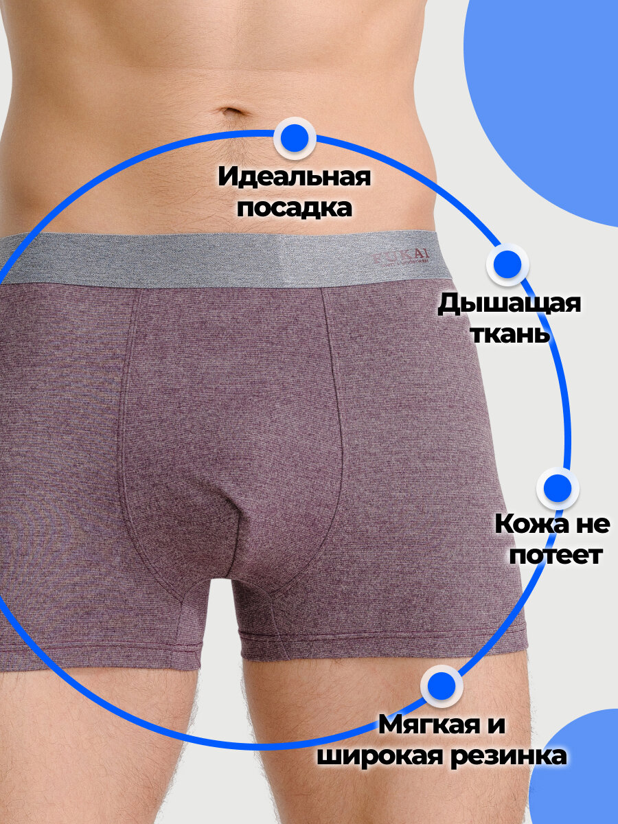 Трусы Fukai Нижнее белье, комплект из 4 шт., размер 5XL, серый, синий, бордовый — фото 1
