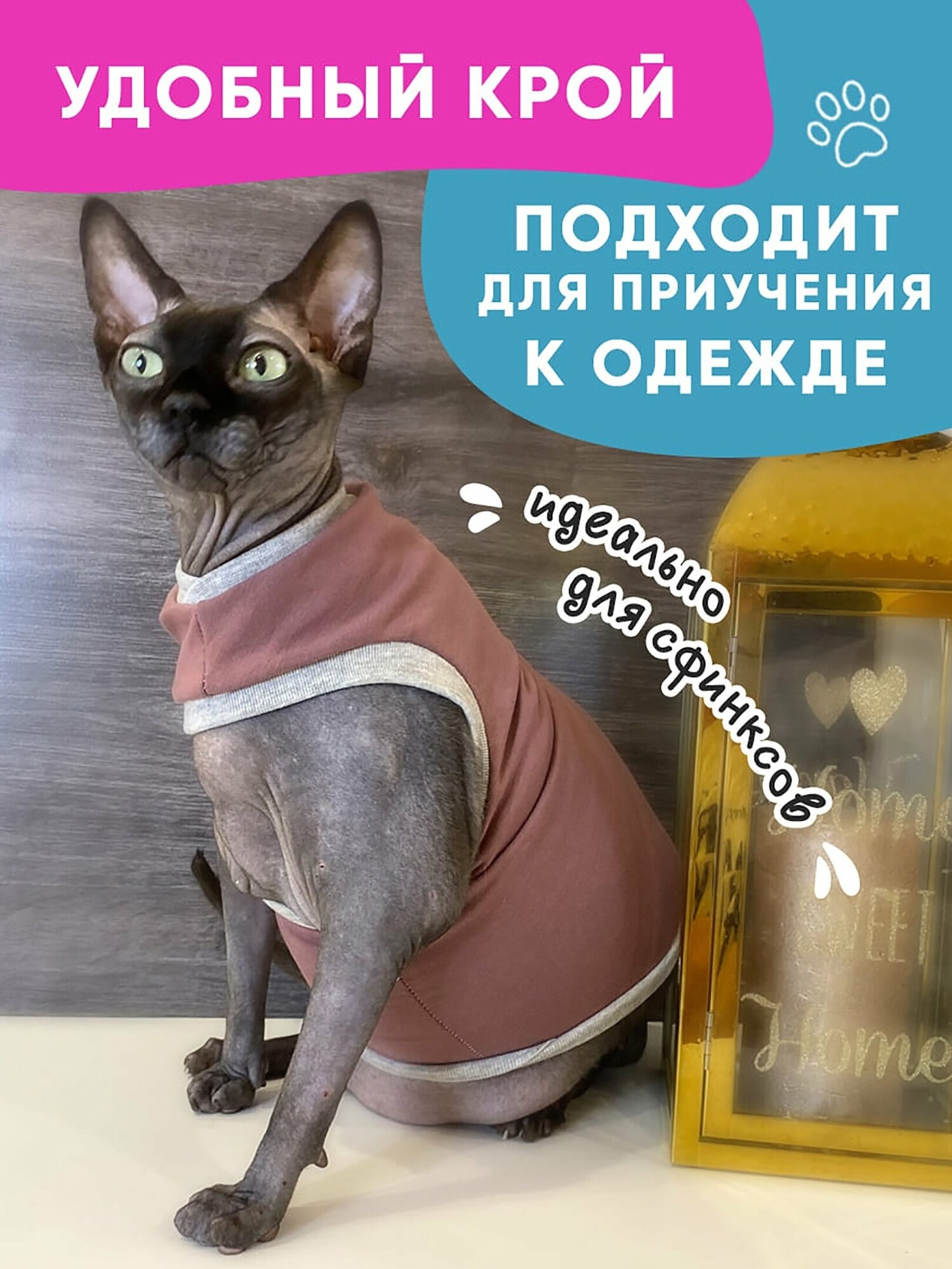 Одежда для животных кошек сфинкс и собак мелких пород, размер XS - фотография № 1