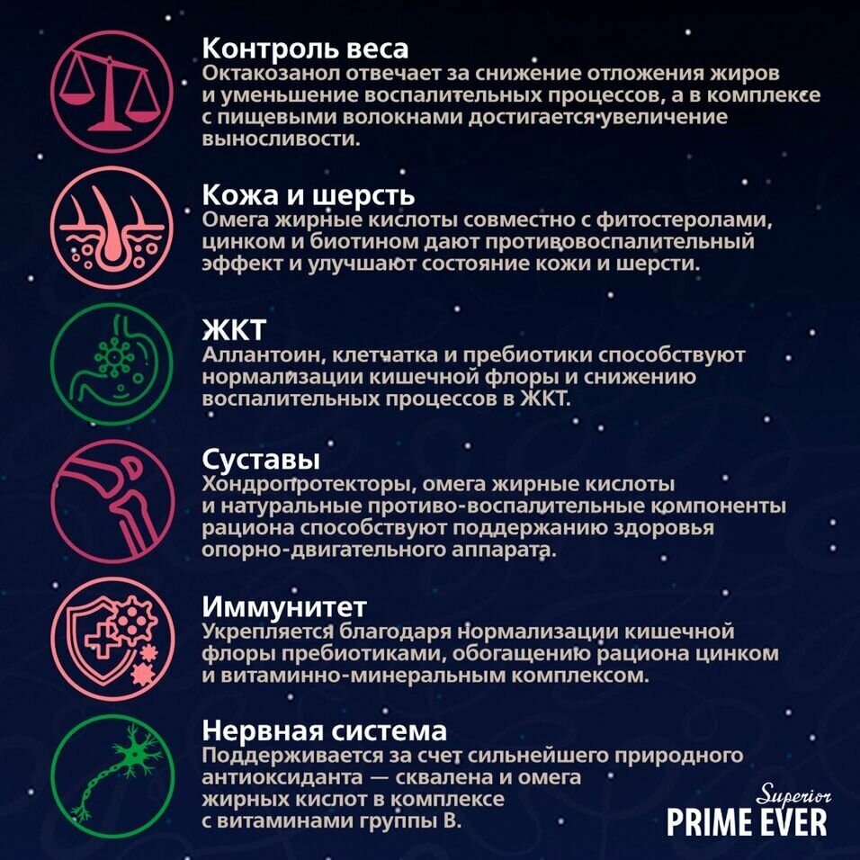 Влажный корм для щенков Prime Ever индейка с рисом 0,4 кг - фото №14