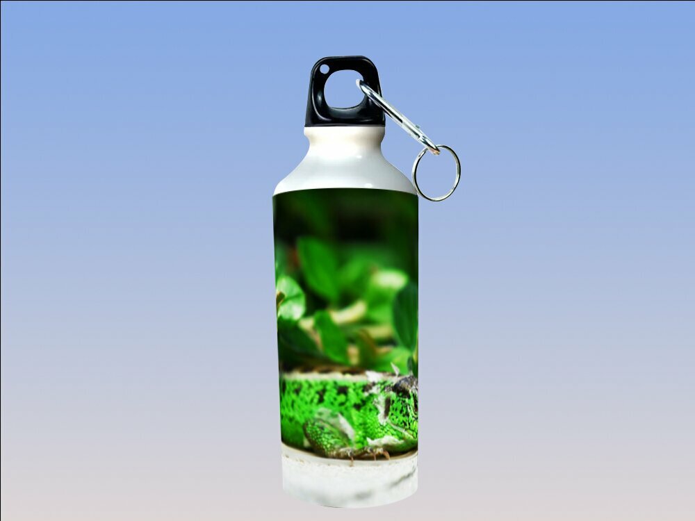 Бутылка фляга для воды "Ящерица, зелёная ящерица, проливание" 750 мл. с карабином и принтом