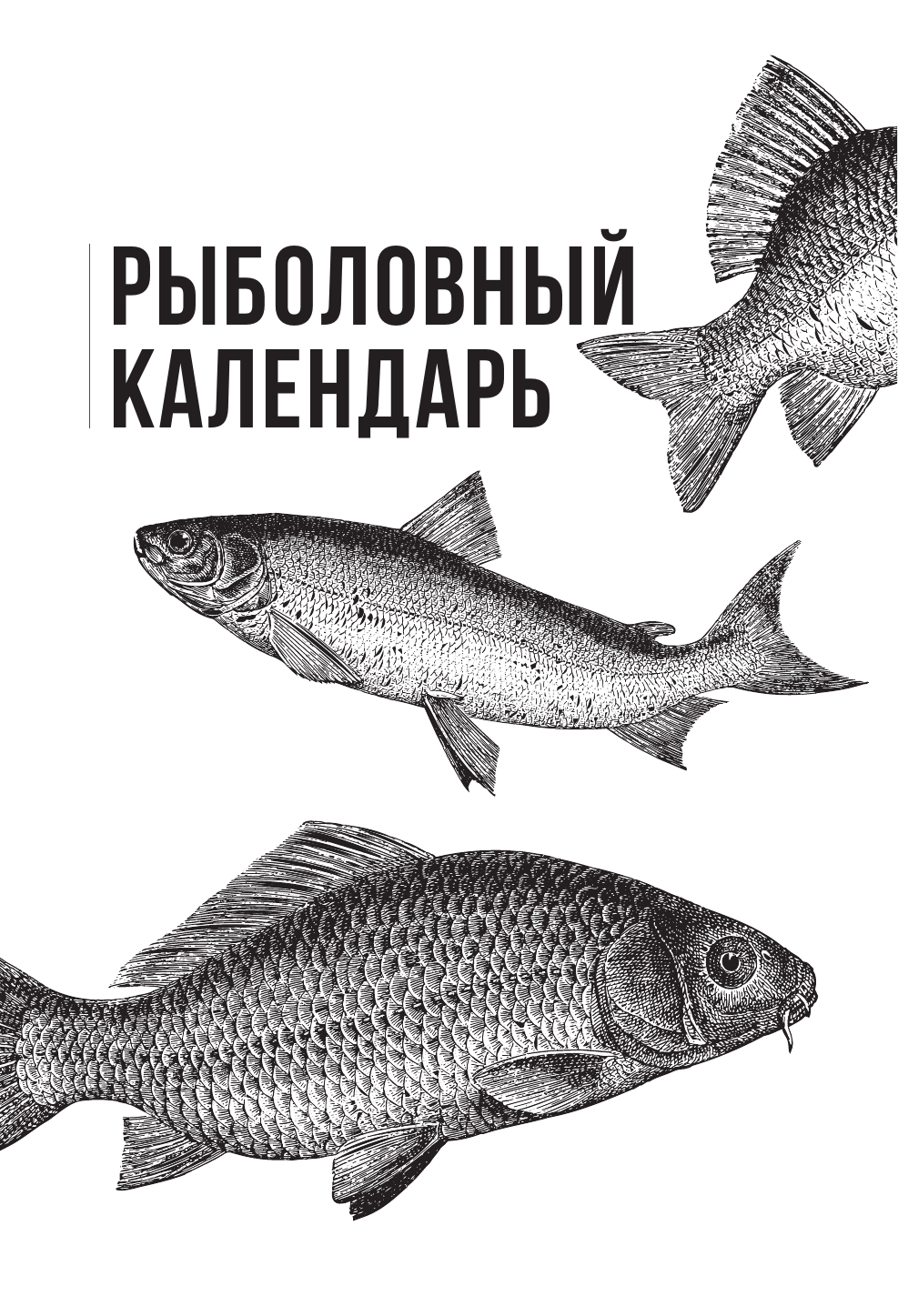 Все о рыбалке. Легендарная подарочная энциклопедия Сабанеева - фото №9